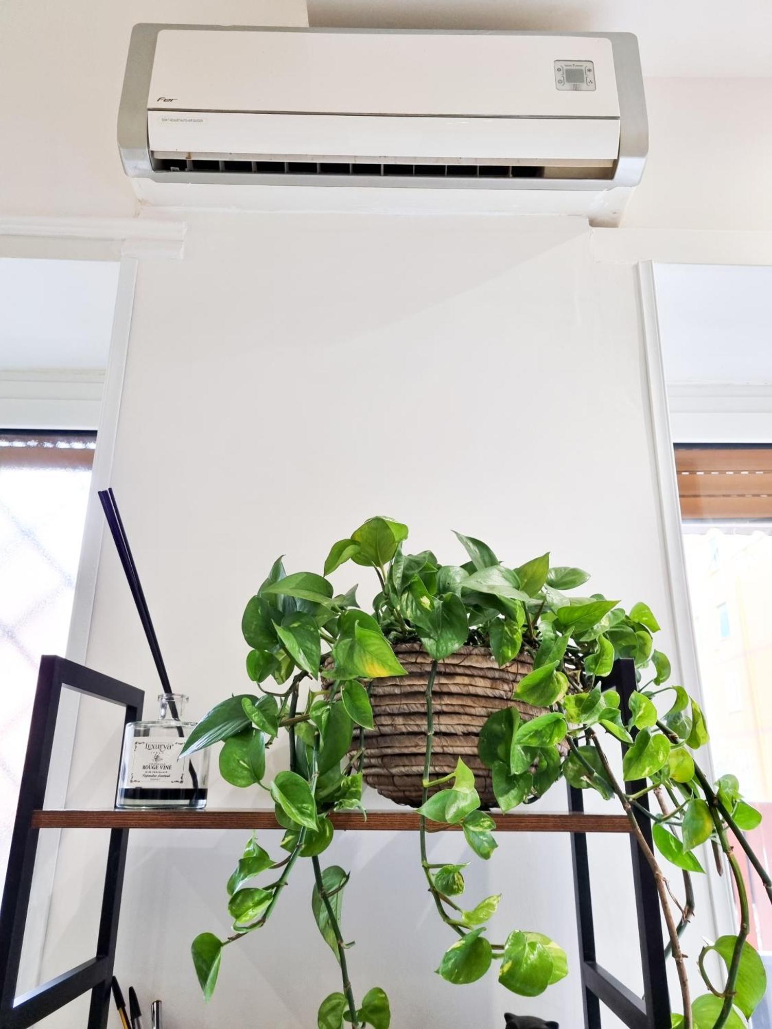 Casa vacanze La Casa Della Pineta Roma